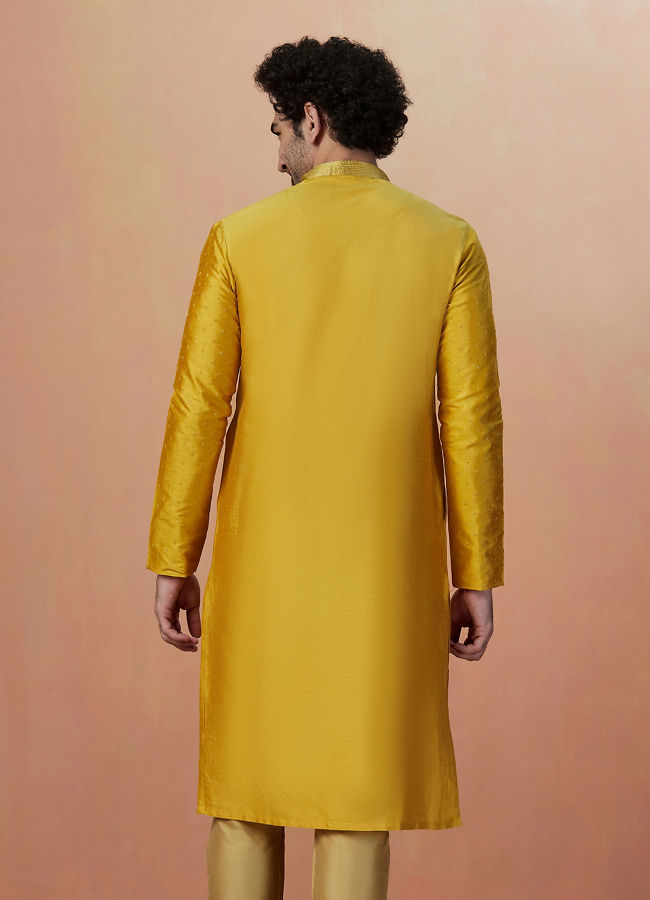 Golden Embellished Kurta Pajama image number 4